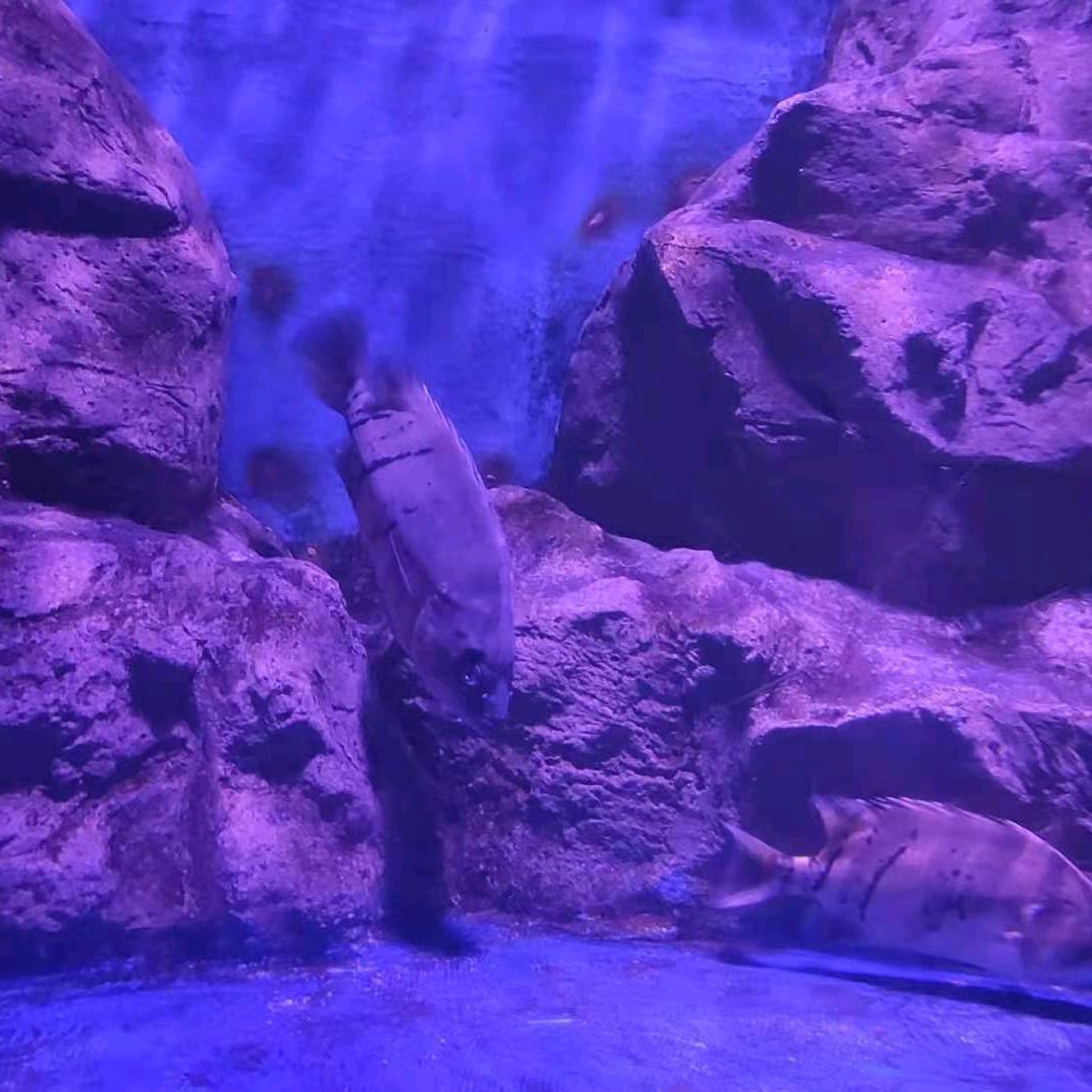 寧靜致遠
