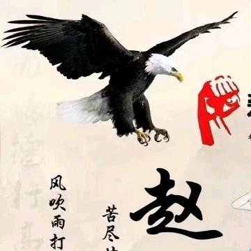 海东青