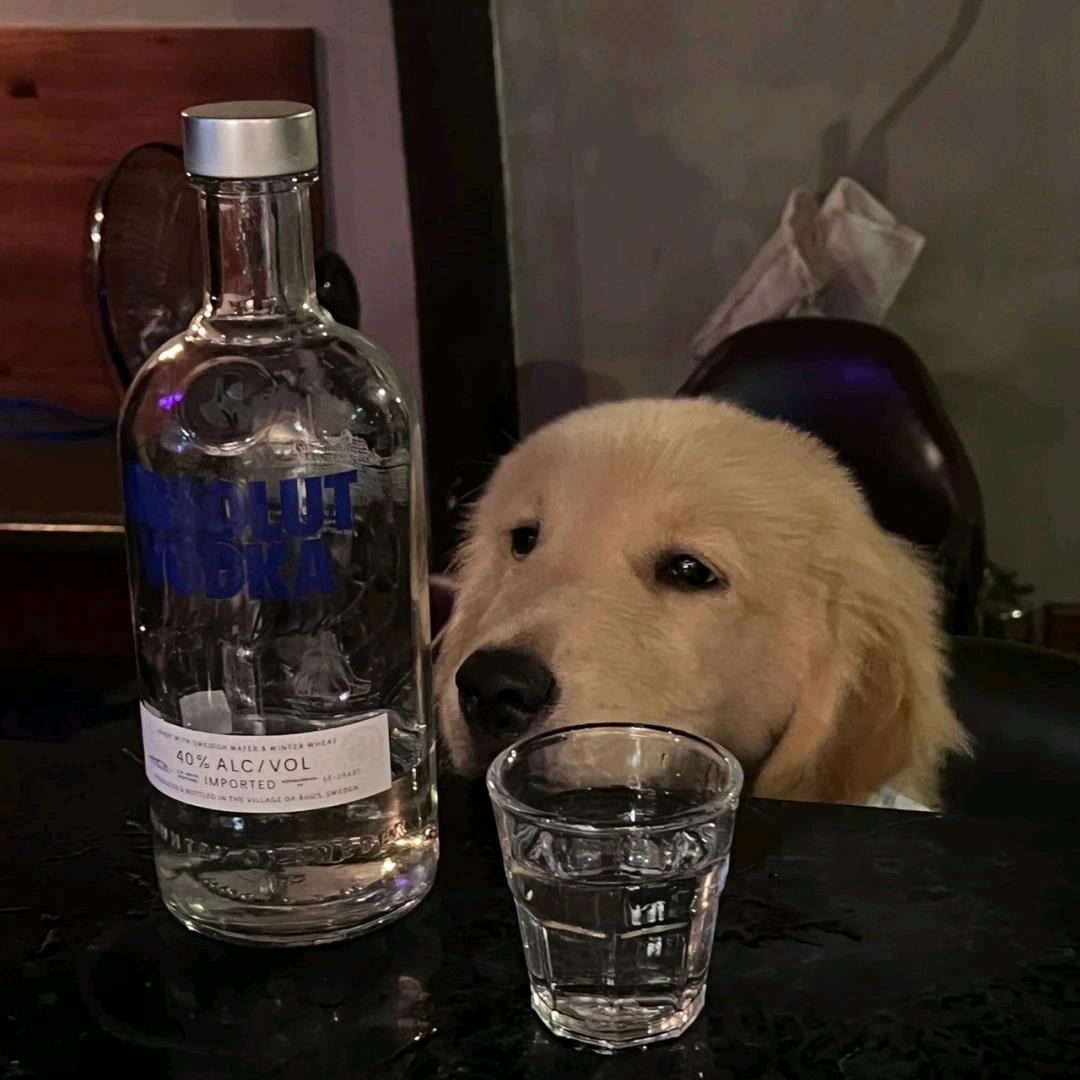 WWW