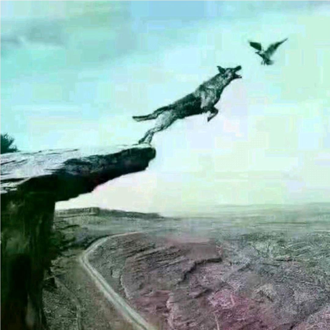 恶狼