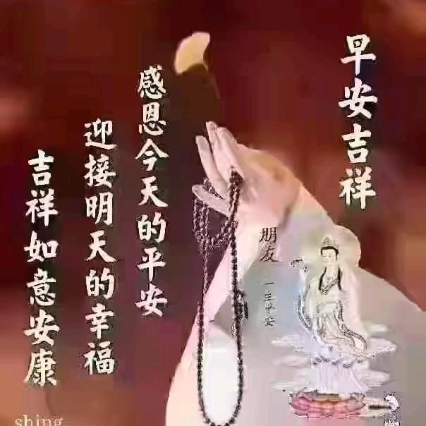 微痞的MY霸气拽，偏爱未来的江山和你