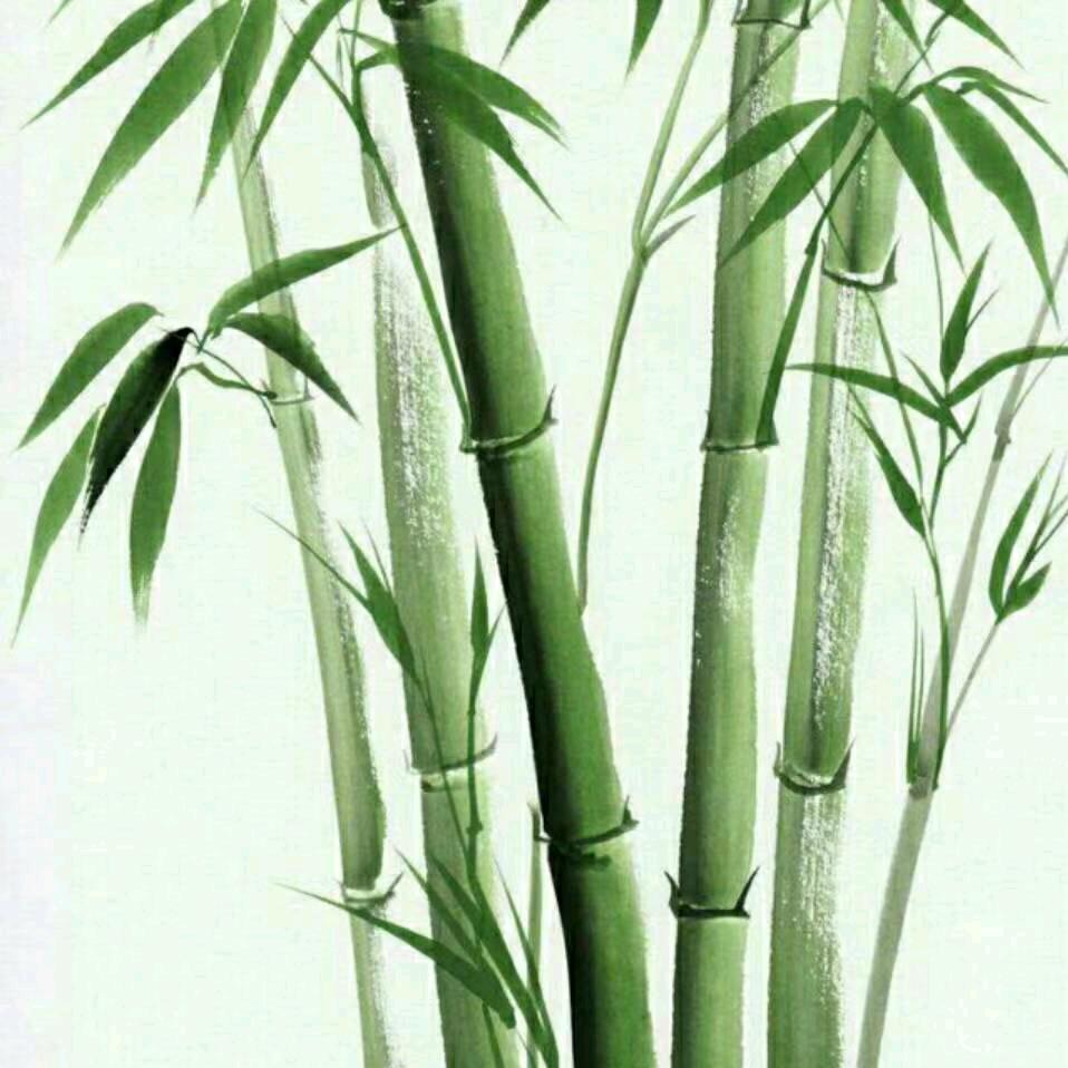 四红