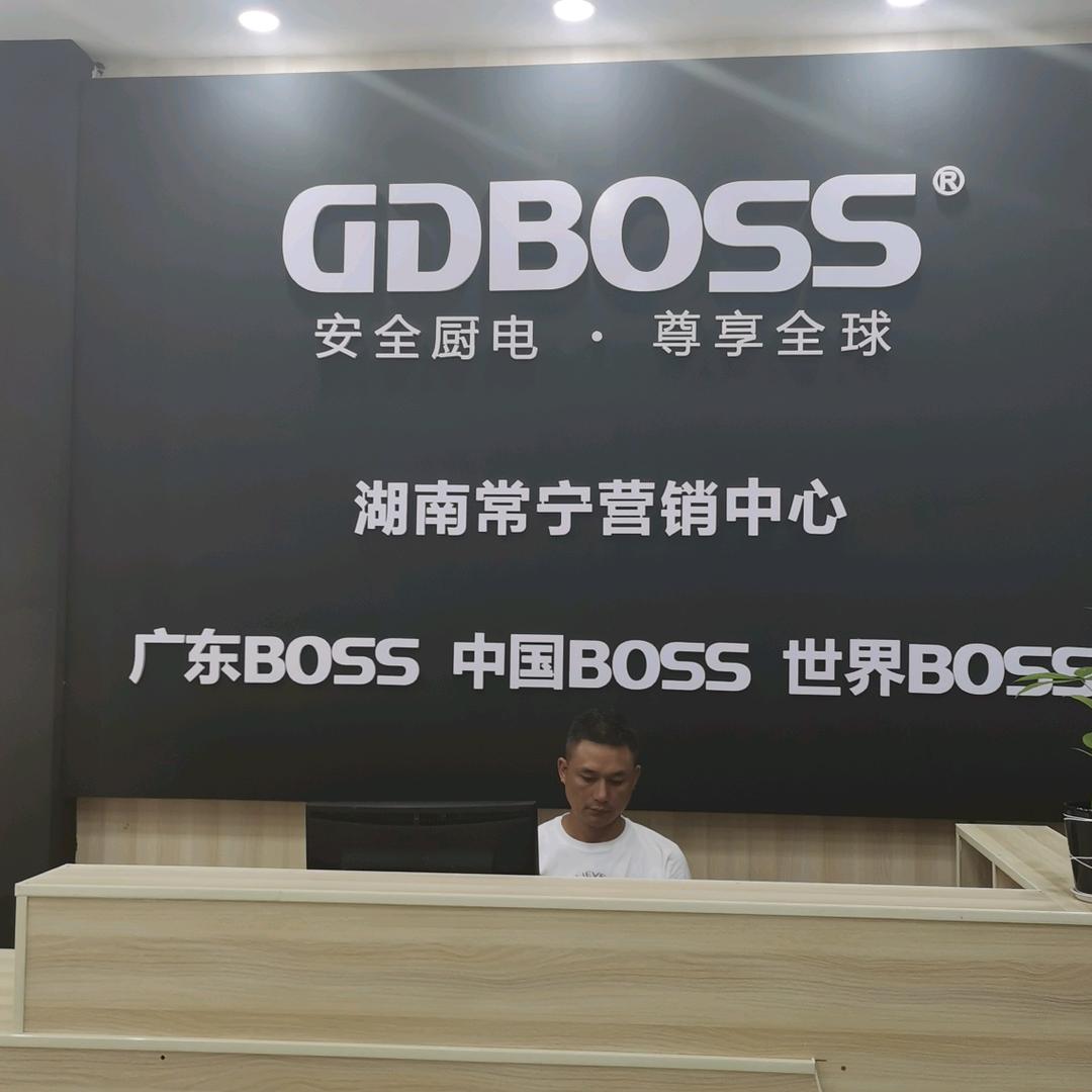 GDB0SS安全厨房电器常宁市营销中心