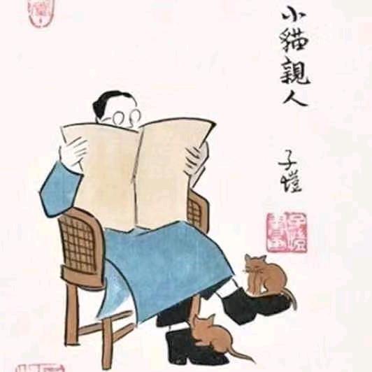 雨中佳人