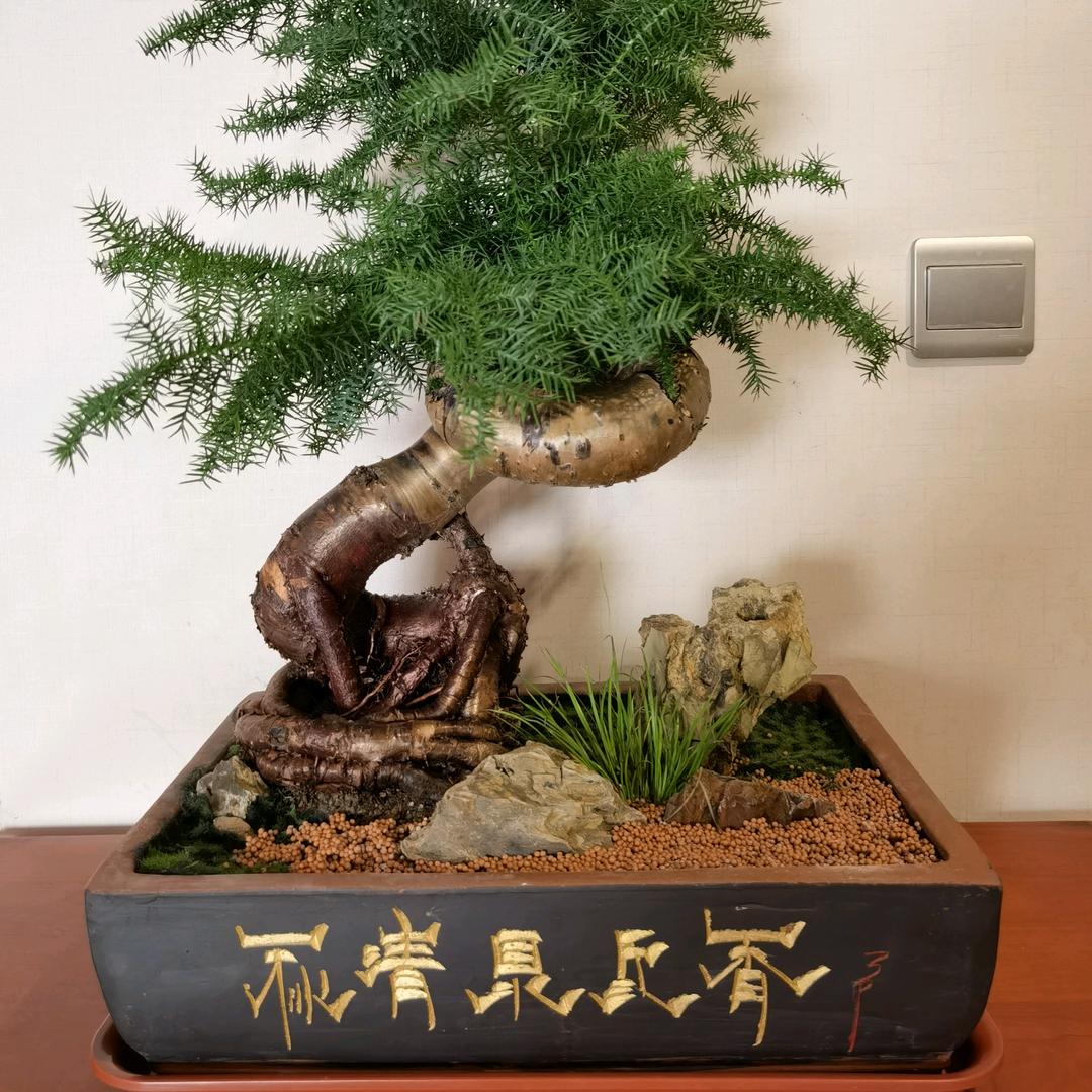 日破雲涛萬里红