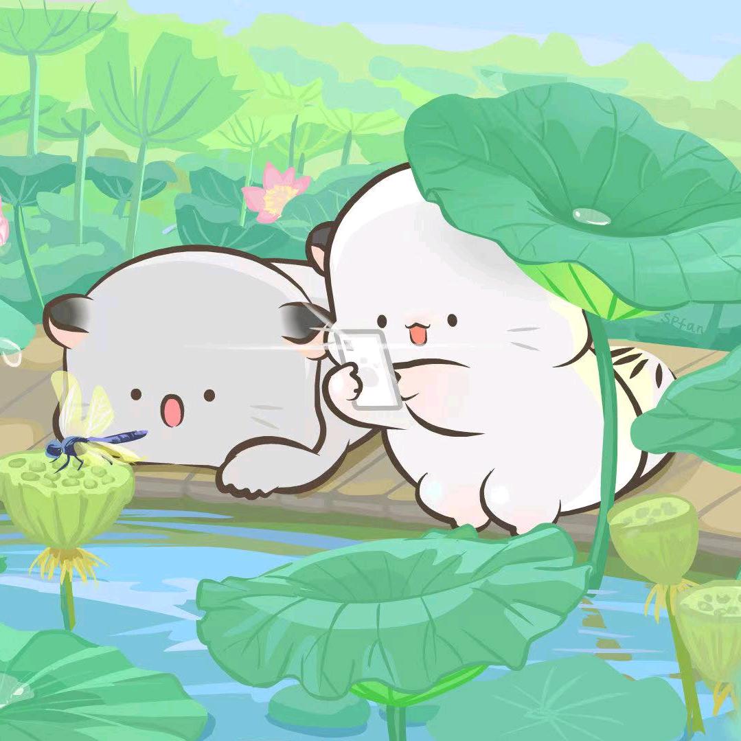 可可不加糖（优选）⁵¹¹