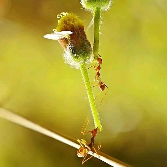 有点离谱但是不多