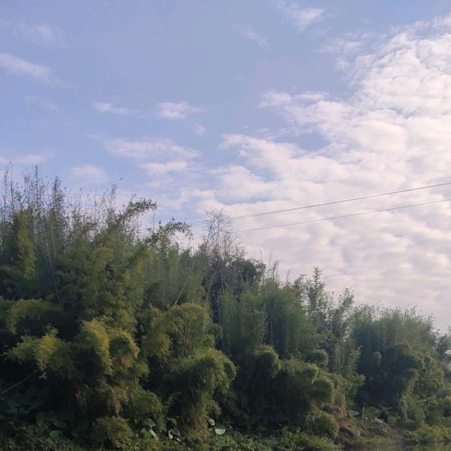 沉默的89
