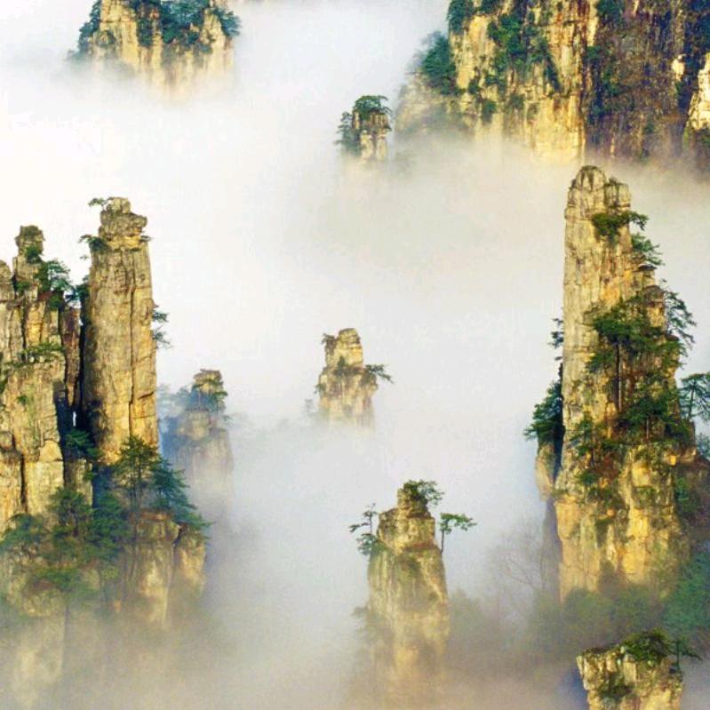 青春永驻
