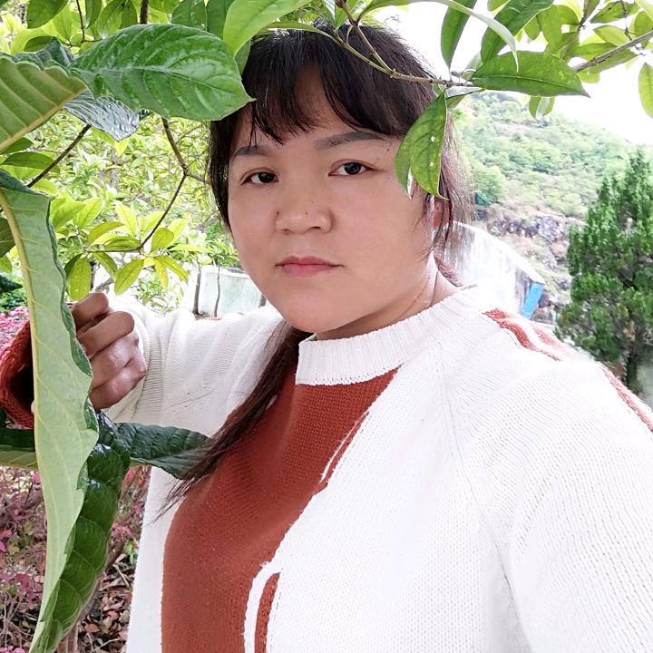 春天的小草
