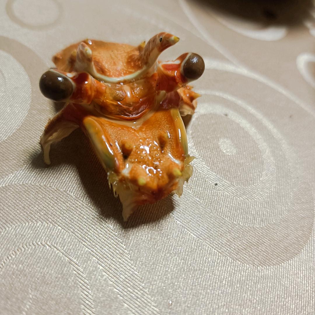 一切的努力只为年少的一个梦