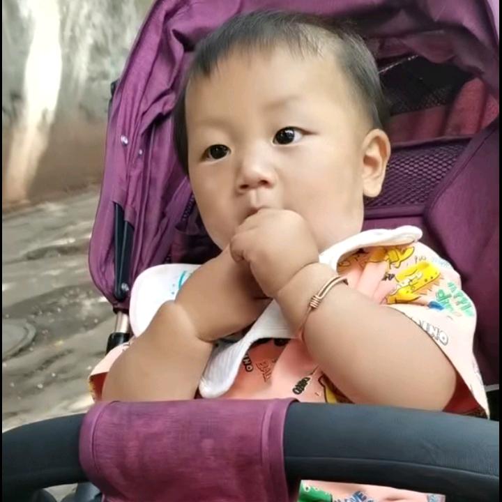 幽默八哥