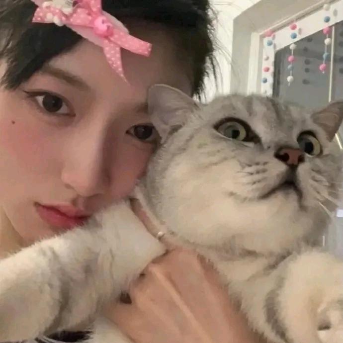 明天就不熬夜了