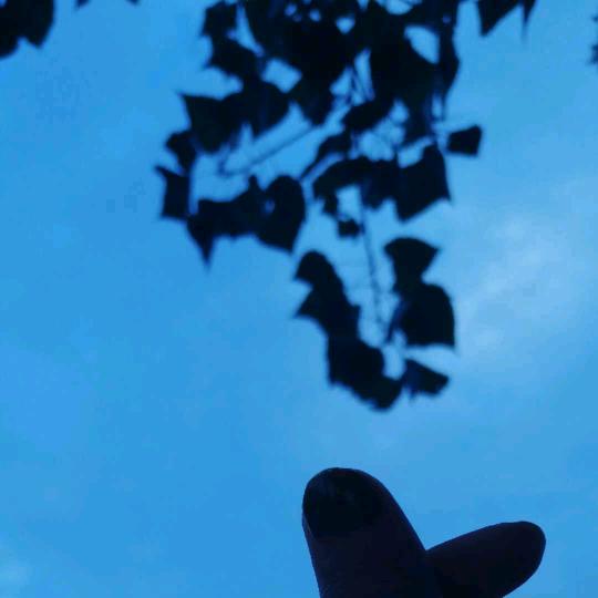 巧芬制衣