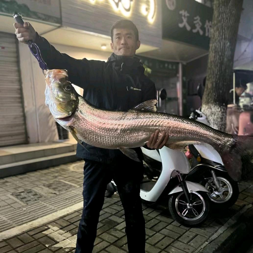 空军一号（太平湖钓鱼）