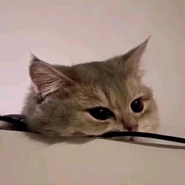 韩某人