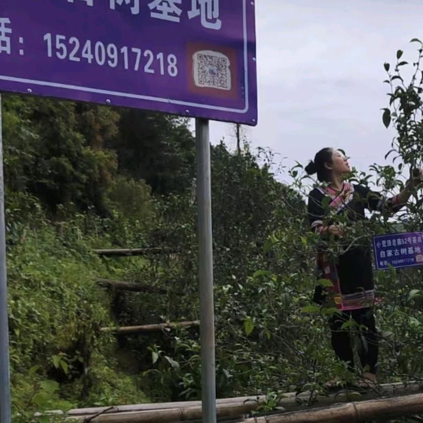 小荒田老寨52号
