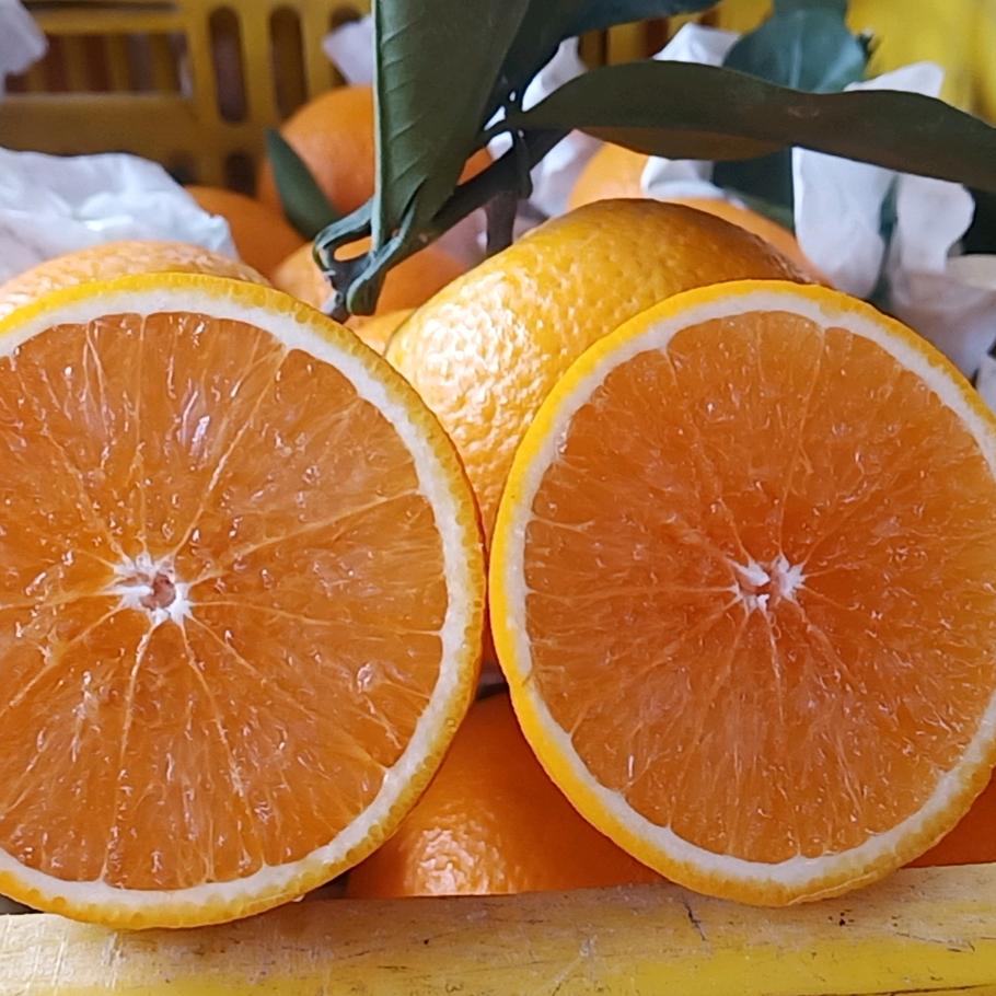 桔宸农场