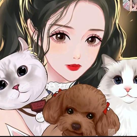 小珈宝✨