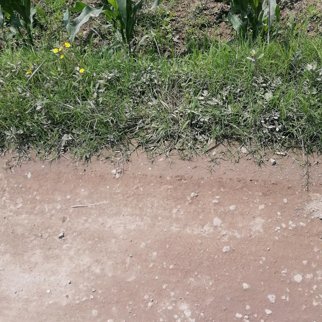高贤会