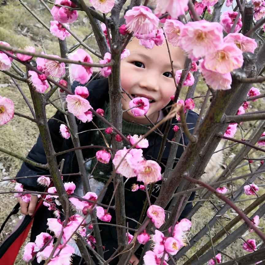 大自然的帮运工