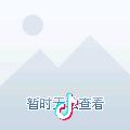 龙龙