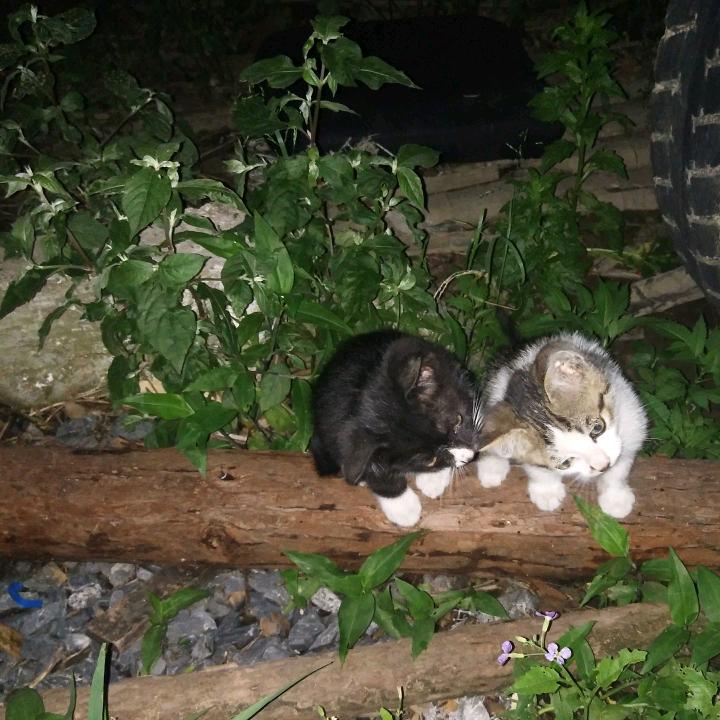 哆唻咪（用户8051812148134