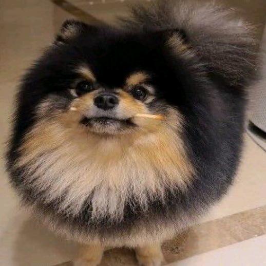 𝑳𝒖𝒔𝒂𝒏.