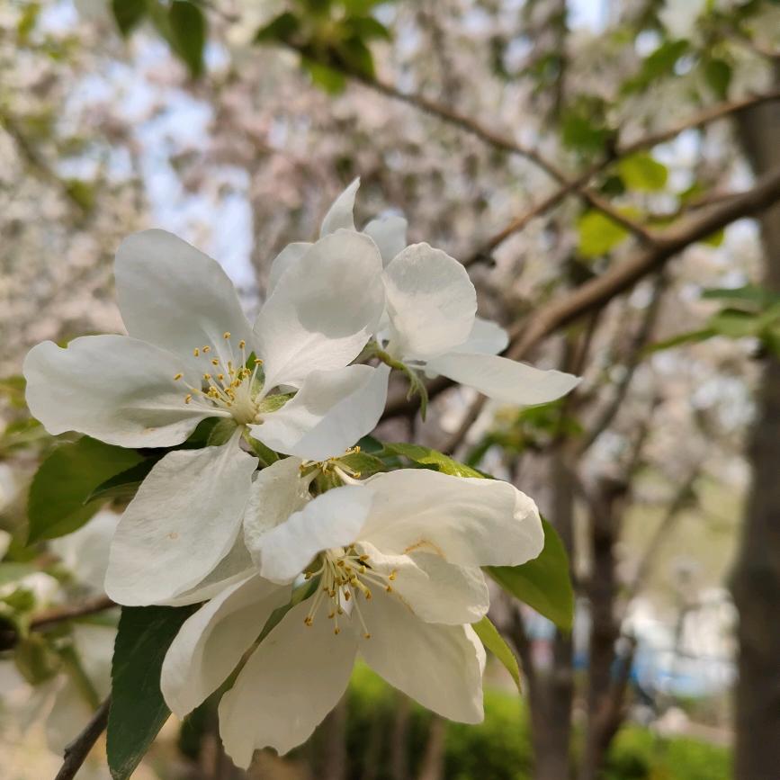 蔡蔡🌱(不瘦十斤，不买新衣服)