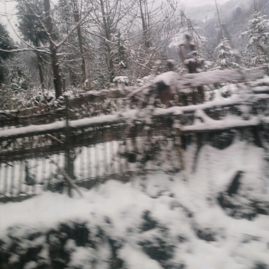 过 ( ͡° ͜ʖ ͡°)✧客