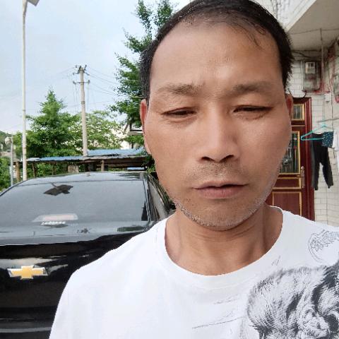 《单身一人你来陪_》。