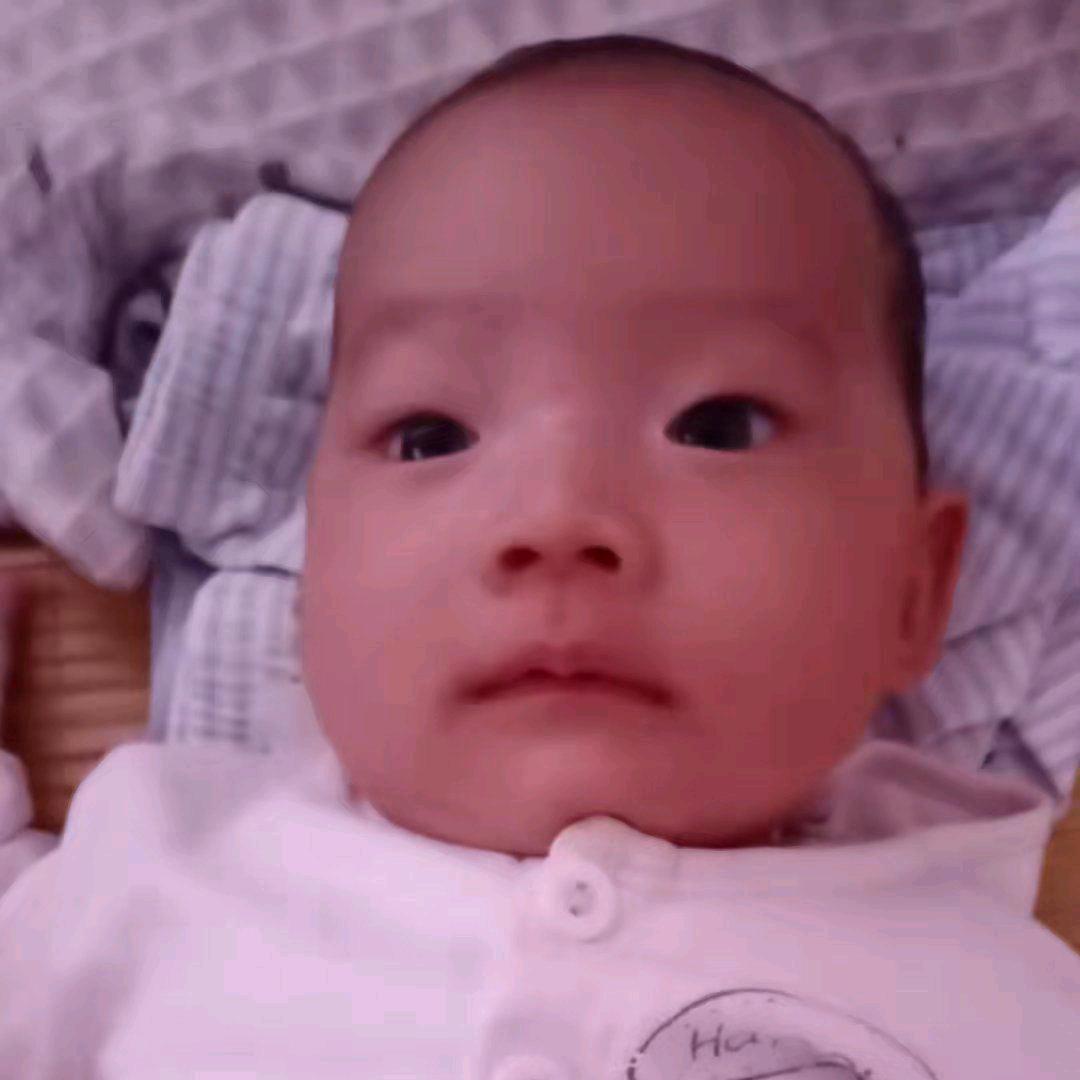 果果