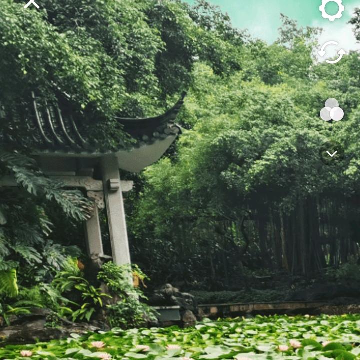 孤狼啸月
