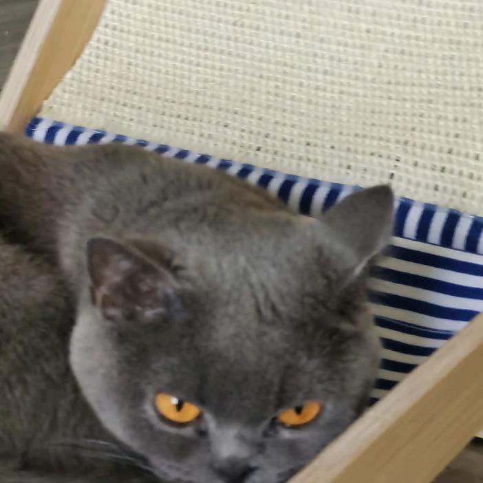 c罗