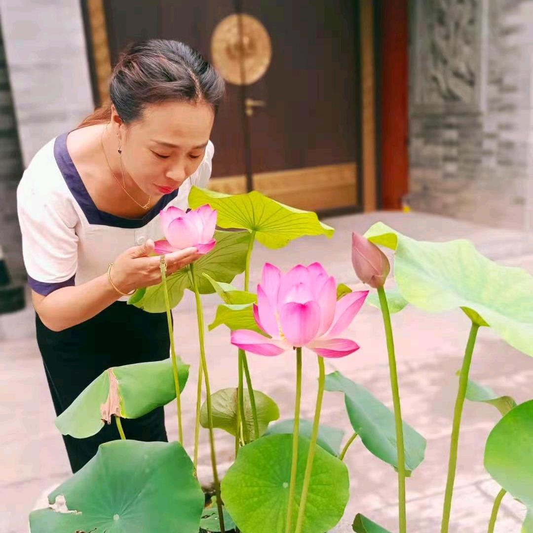 玲儿《拒私聊》