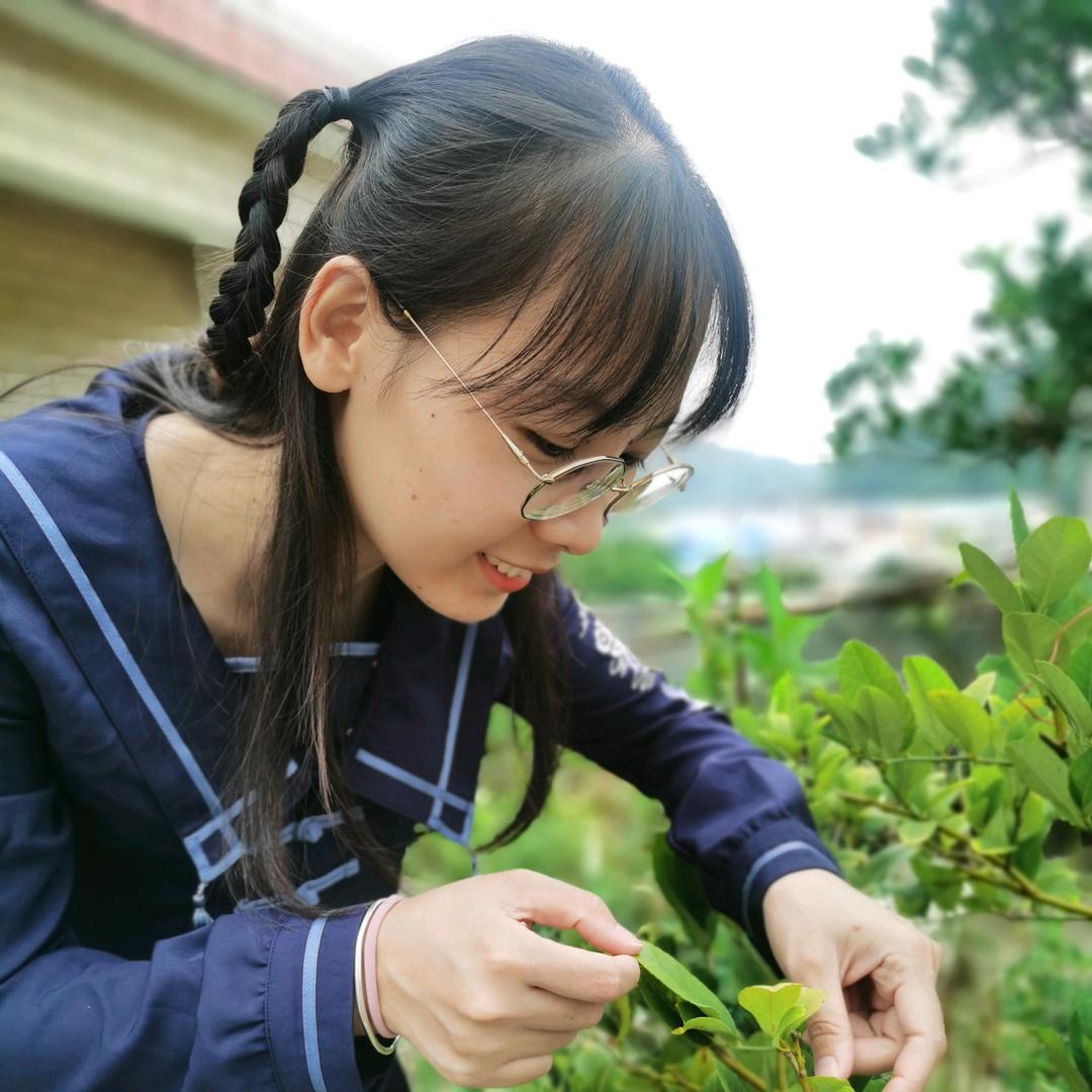 胡huiying