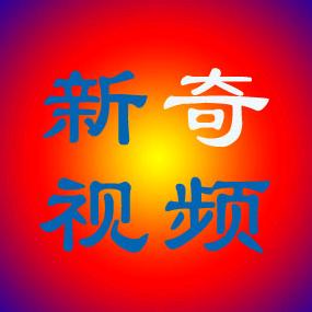 新奇队长