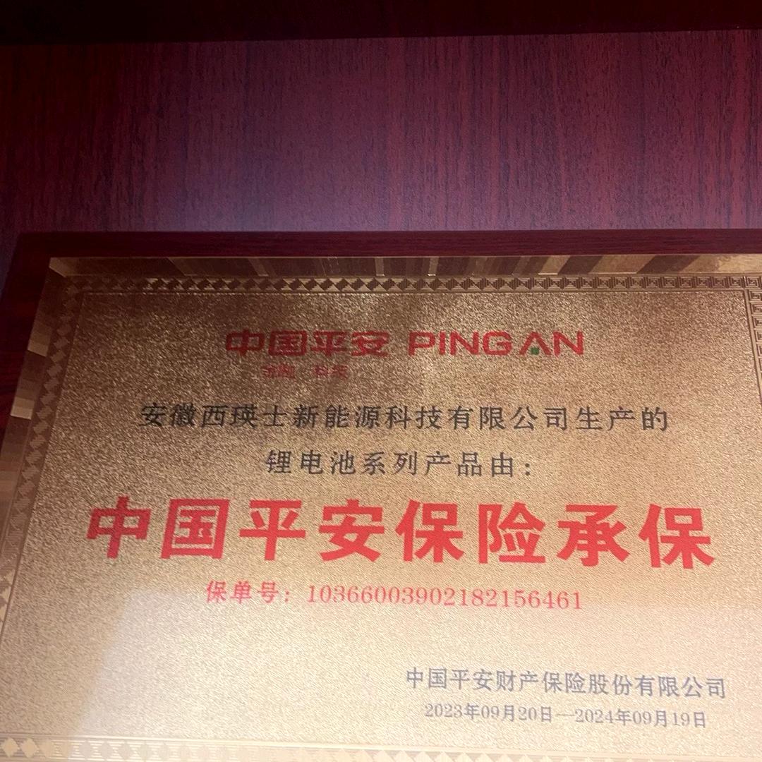 安徽西瑛士新能源锂电池 小李