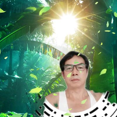 琛镇