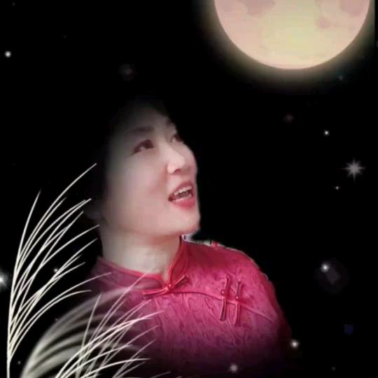 ✨凤✨