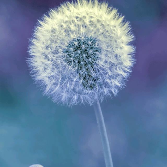 ☃️默💋默☃️