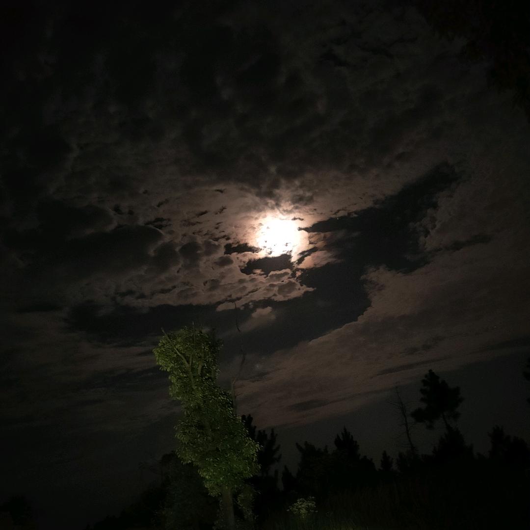 星辰大盗