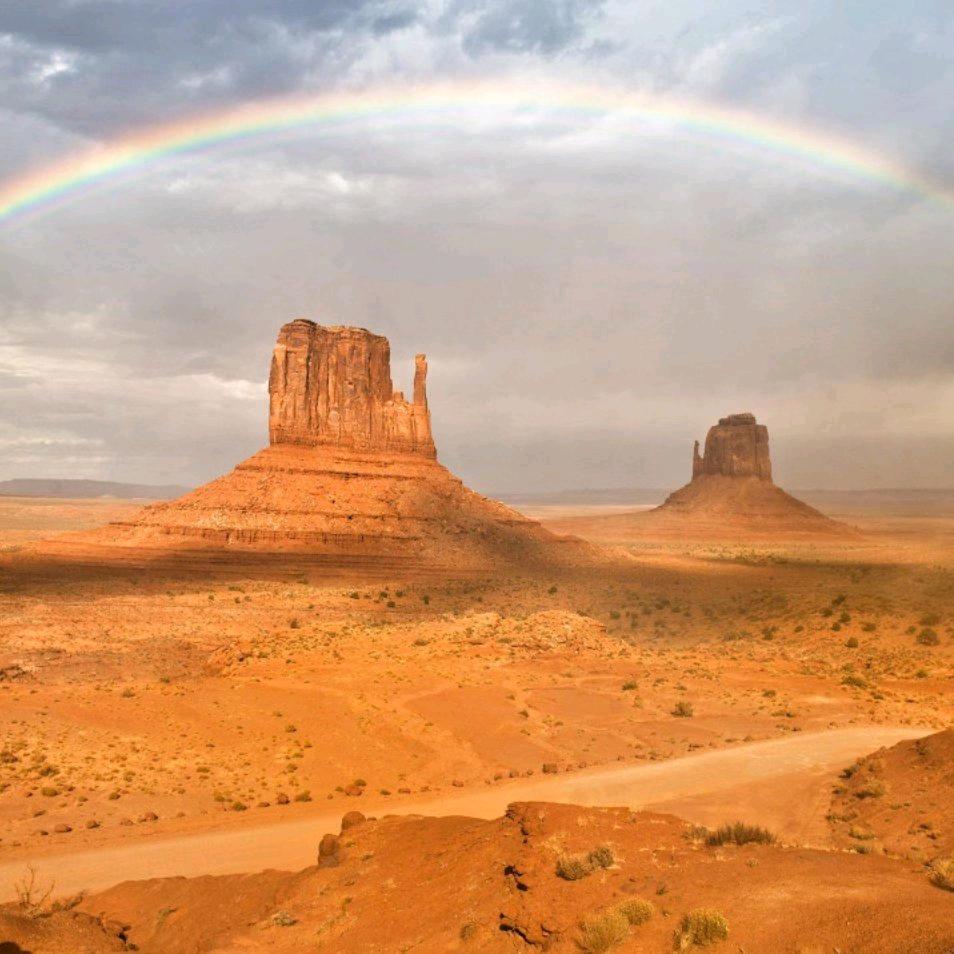 选择你就是我的唯一