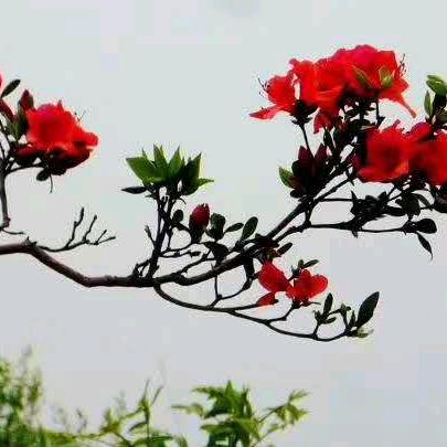 多余