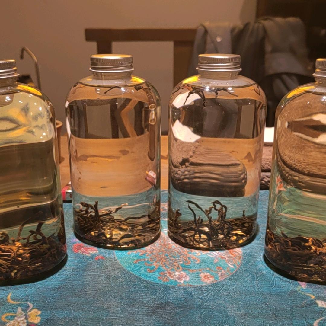 浩哥说茶