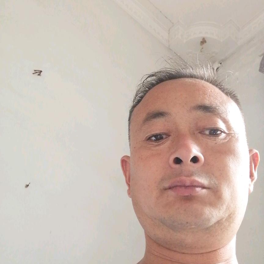 孤独羊