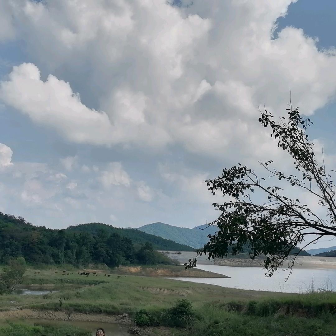 小小柠檬