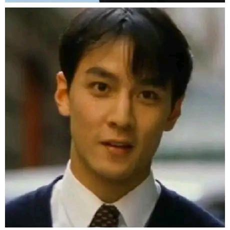 恰似惊鸿入人间