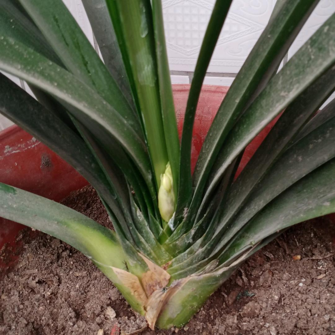 用户快乐一生367662