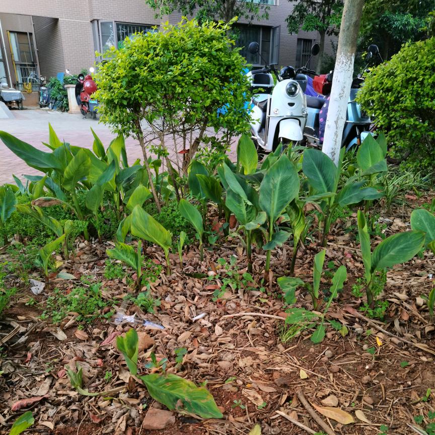用户名1472281头像